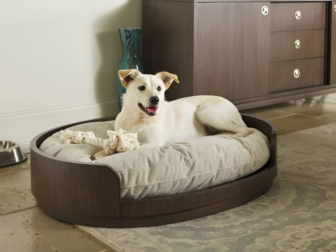 Why Quality Pet Beds Matter For Comfort
